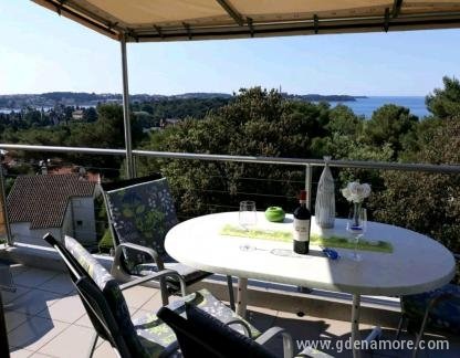 Apartmaji Ivo, , zasebne nastanitve v mestu Rovinj, Hrvaška - IMAGE_1596800886974_636730982357033184